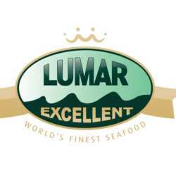 Logo Lumar Excellent